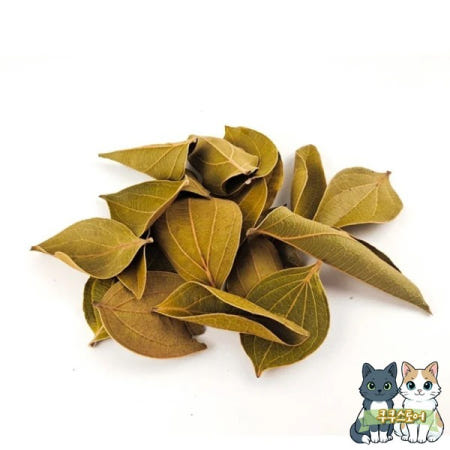 [해외]쿠쿠스토어 30pcs 자연 잎 수족관 필터 Terminalia Catappa Foetida 섬 아몬드 물고기 청소 치료