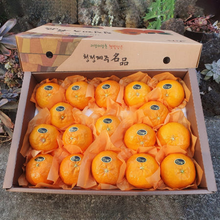 제주 고당도 레드향 3kg 5kg 10kg 선물용 가정용 천혜향 한라봉 하우스감귤 5키로 선물세트