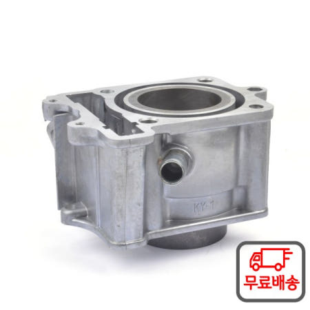 오토바이 엔진 실린더 키트 (피스톤 핀 및 가스켓 포함) 125cc OEM 보어 (킴코 베트앤윈 B&W E-GO 용)