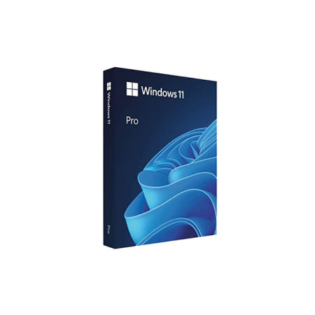 마이크로소프트 Windows 11 Pro FPP (한글/영구패키지/처음사용자용/USB)