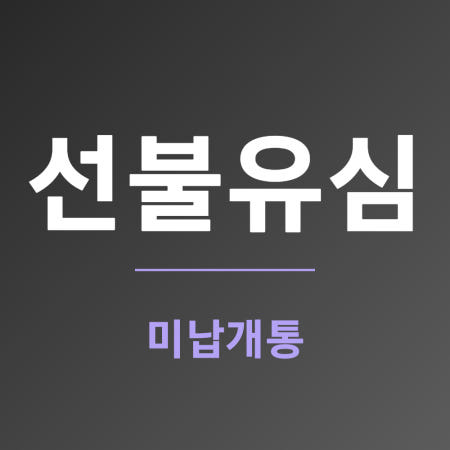 SKT 무제한 선불유심 신용불량자휴대폰개통 비대면 셀프개통