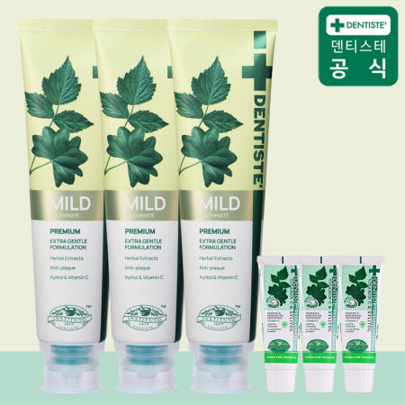 덴티스테 뉴마일드 나이트타임 치약 160g 3개 20g 3개 구취케어