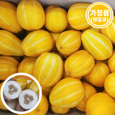 고당도 성주 꿀 참외 (가정용 못난이) 2 3 5 10kg/랜덤 사이즈/제철 과일 간식
