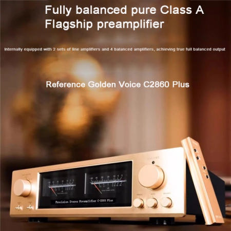 골든 보이스 C-2860 플러스 완전 균형 순수 클래스 A 프리앰프 HiFi 고온 V 110V