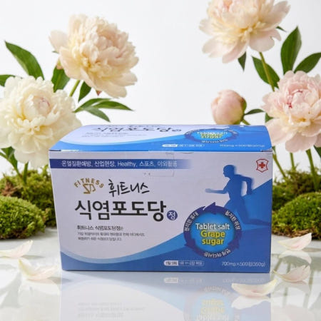 휘트니스 식염포도당 식염정 소금알약 탈진 복용법 효과 500정, 1개