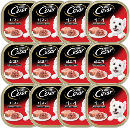 시저 캔사료 습식 애견 사료 주식 간식 통조림 소고기 소 강아지 쇠고기, 100g, 12개
